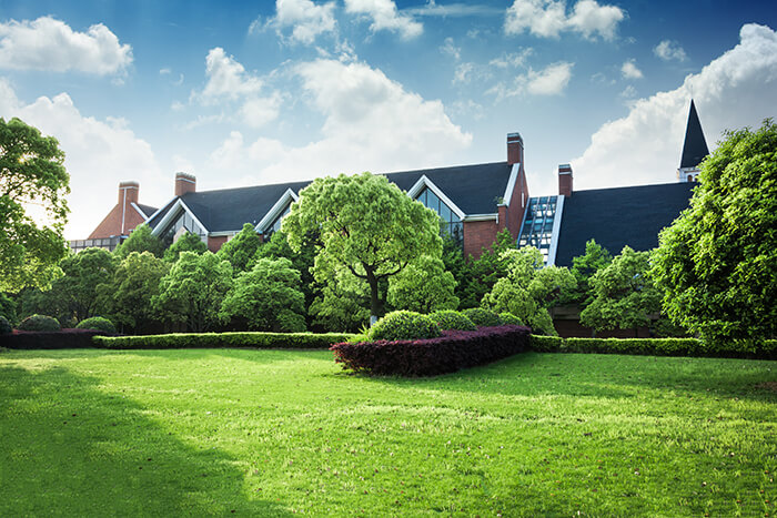 10 Ideas for Landscaping Property Lines